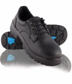 Steel Blue Eucla 126 Safety Shoes