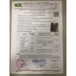 Giày bảo hộ Letos thời trang