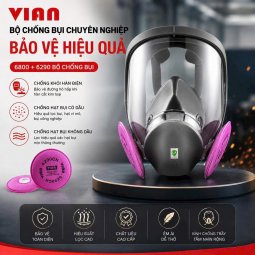 Mặt nạ nguyên mặt VIAN 6800